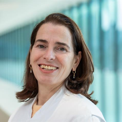 Johanna Maria Pieternel van den Hout